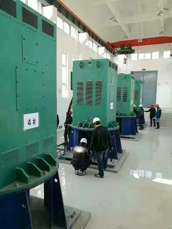 榆中某污水处理厂使用我厂的立式高压电机安装现场